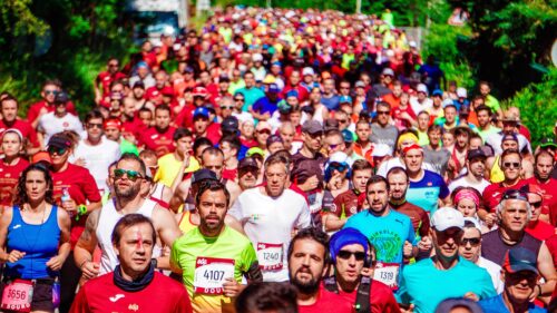 pexels-run-ffwpu-2402738